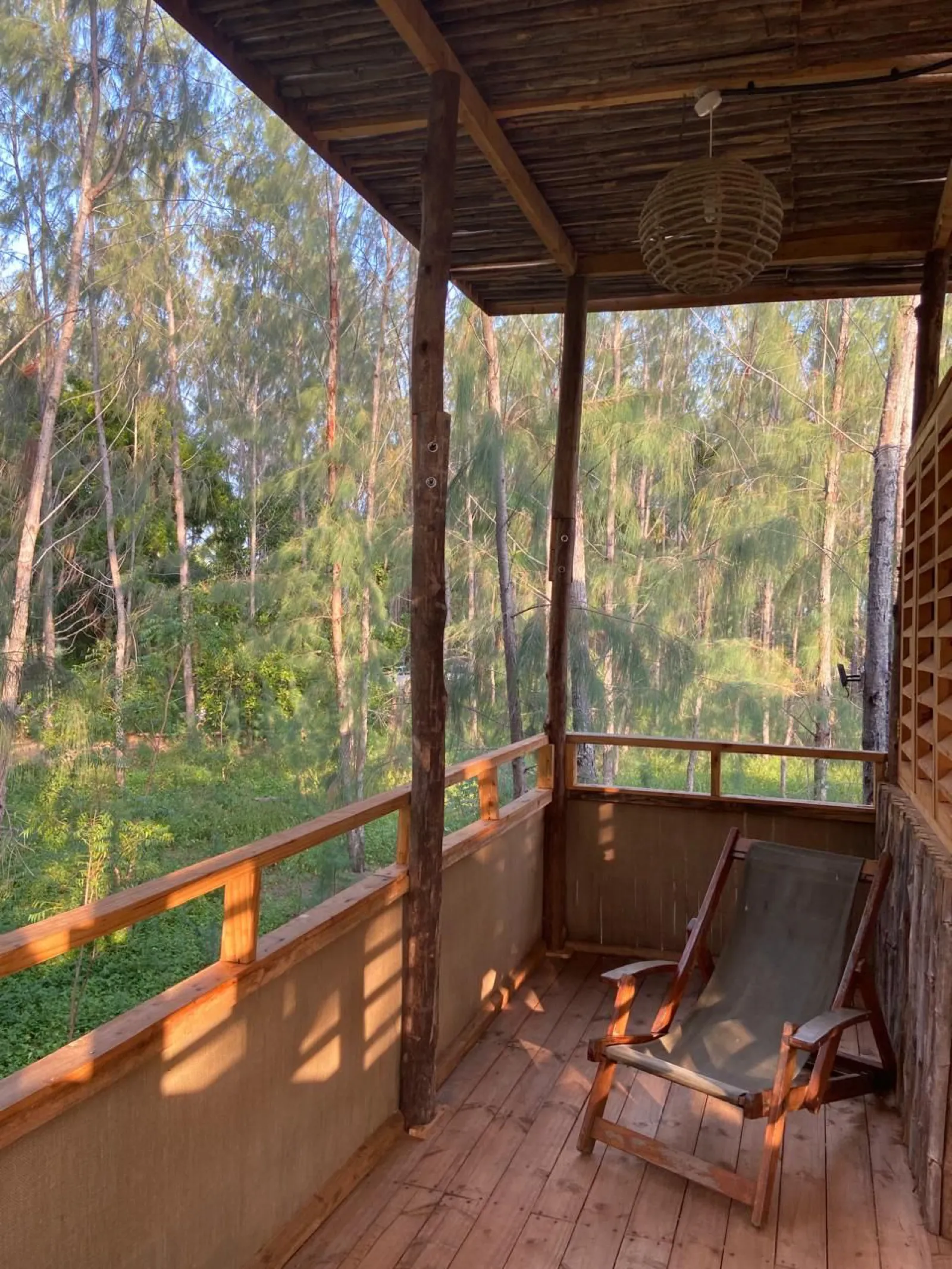 A balcony chair looking over the forest