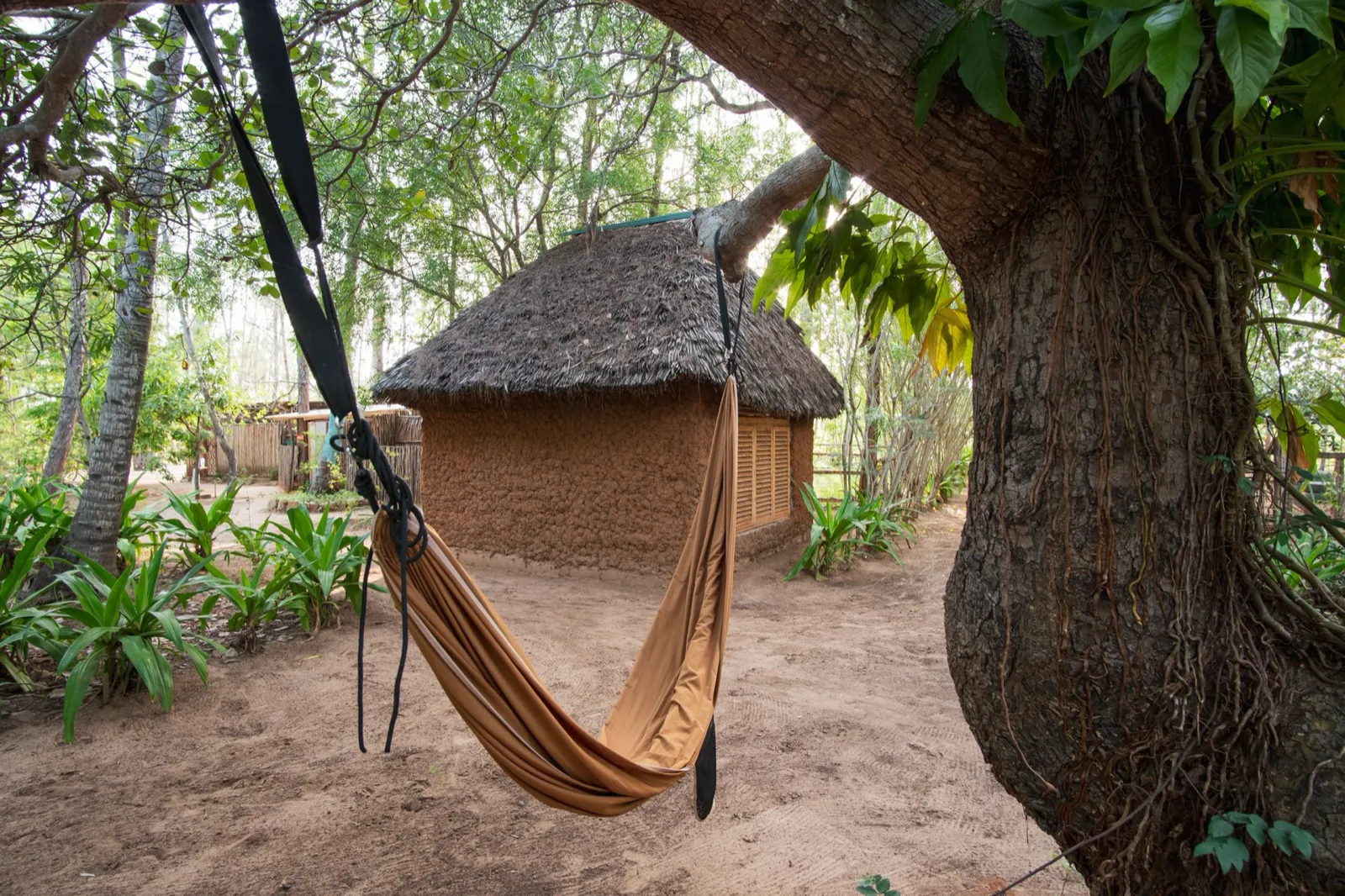 Cashew Cottage at Horsebay Watamu, Mida Creek (3)