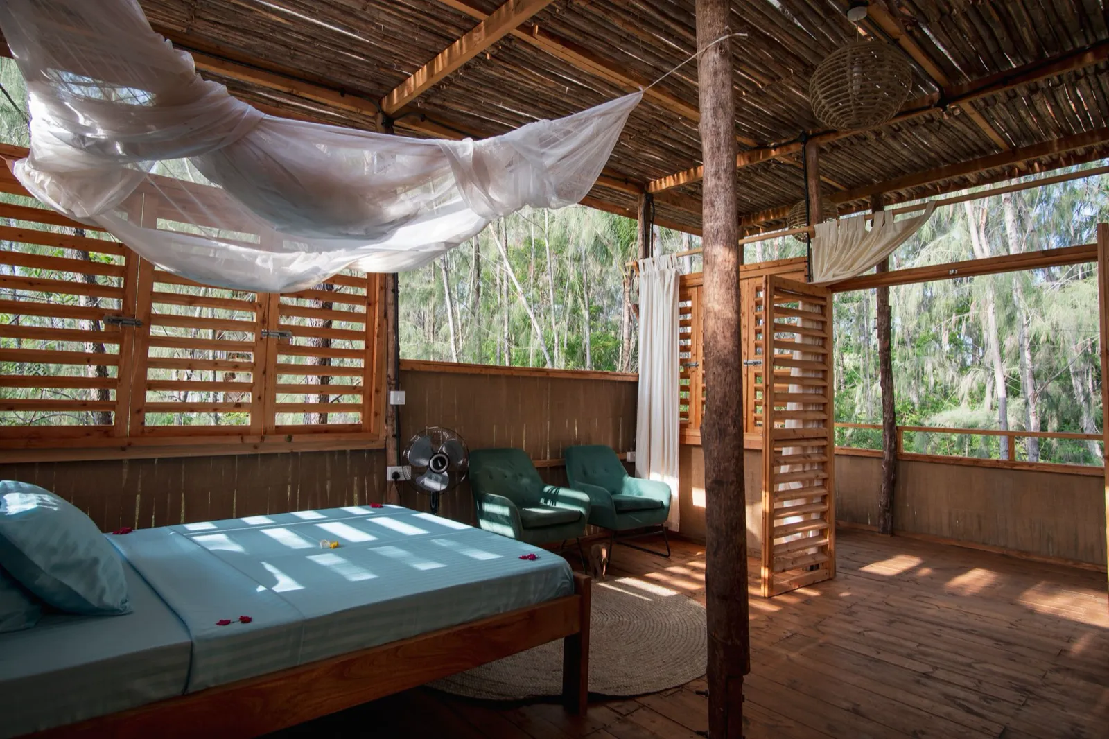 Forest Feel at Horsebay Watamu, Mida Creek (5)