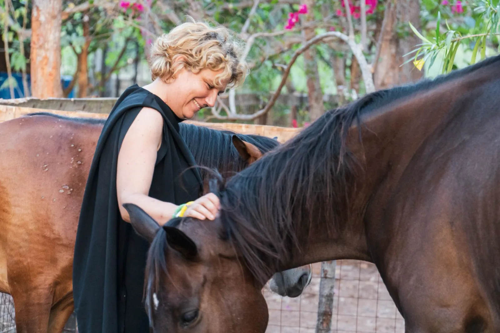 Kerstin with one of the Horsebay horses
